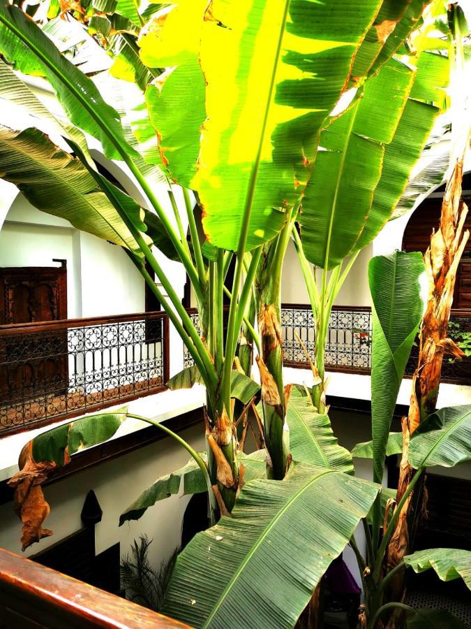 Riad Mehdia Marrakesh Exterior photo